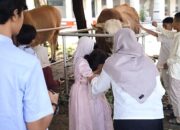 Polemik Sapi Kurban Presiden dari APBN Mengemuka, MUI, DPR, dan PBNU Sampaikan Pandangan Berbeda